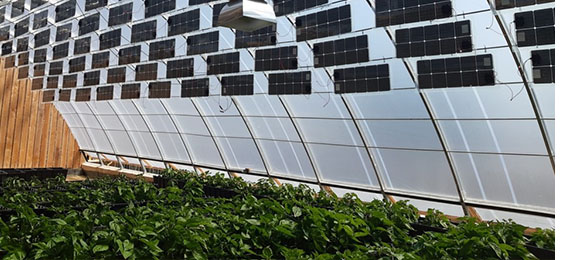 El proyecto “GROOF”, reduciendo emisiones de CO2 con invernaderos integrados en azoteas